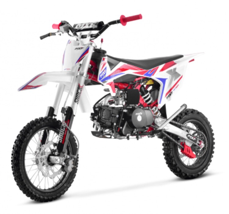mini motor 100cc